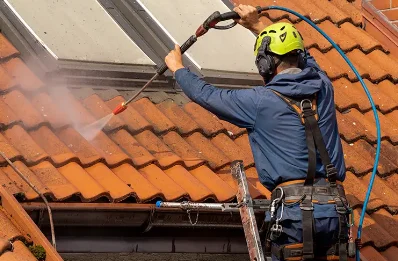 Démoussage et hydrofuge de toiture à Monselie
